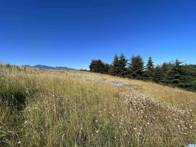 Nestled in the heart of the desirable Agnew area between Sequim - photo 4