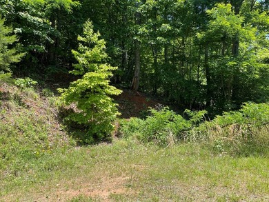 JUST REDUCED Gorgeous views of the mountains and Lake Chatuge - photo 5