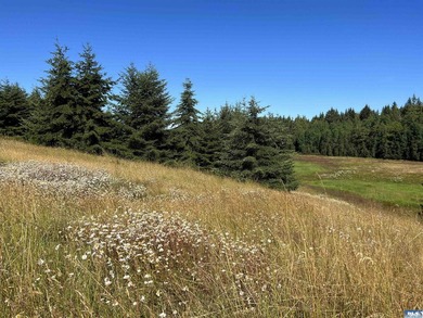 Nestled in the heart of the desirable Agnew area between Sequim - photo 5
