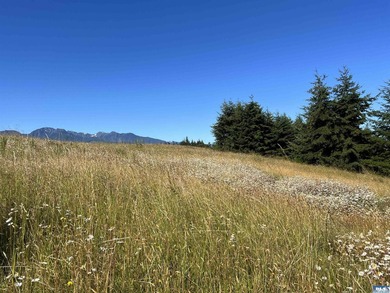 Nestled in the heart of the desirable Agnew area between Sequim - photo 6