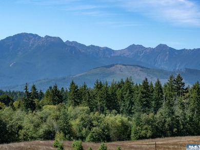 Nestled in the heart of the desirable Agnew area between Sequim - photo 7