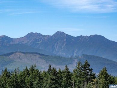 Nestled in the heart of the desirable Agnew area between Sequim - photo 9
