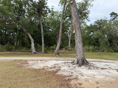 Build your custom home in a premier and gated coastal golf - photo 3
