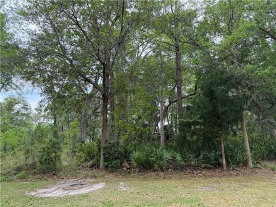 Build your custom home in a premier and gated coastal golf - photo 4