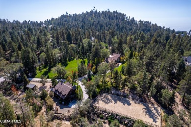 (private lake, pond, creek) Home For Sale in Running Springs California