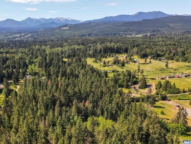 Beautifully wooded 2 acre parcel with superb privacy just - photo 2
