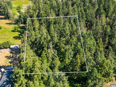 Beautifully wooded 2 acre parcel with superb privacy just - photo 5