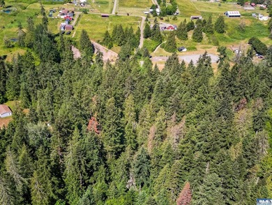 Beautifully wooded 2 acre parcel with superb privacy just - photo 9