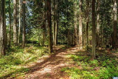 Beautifully wooded 2 acre parcel with superb privacy just - photo 10