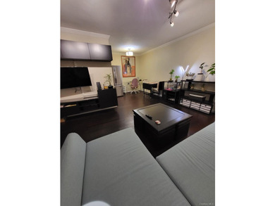 Totally Renovated Clearview One Bedroom Lower Level Unit (Size 3 - photo 11