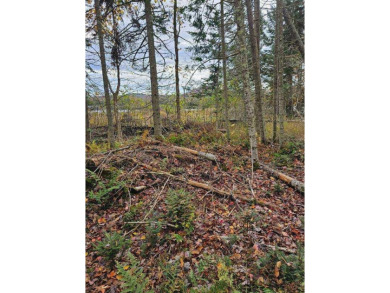 Goodnow Flow Lake Acreage Sale Pending in Newcomb New York