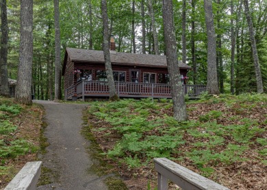 Cozy Pine Cabin on Little St. Germain Lake - Lake Condo For Sale in Saint Germain, Wisconsin