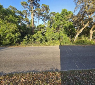 476 acre wooded interior lot zoned R1M . Not in flood Zone so - photo 2