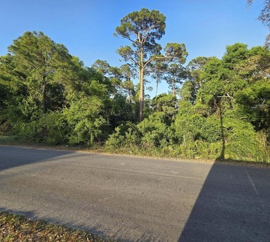 476 acre wooded interior lot zoned R1M . Not in flood Zone so - photo 3