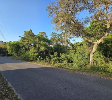 476 acre wooded interior lot zoned R1M . Not in flood Zone so - photo 4