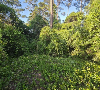 476 acre wooded interior lot zoned R1M . Not in flood Zone so - photo 5