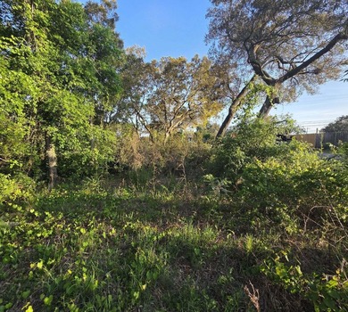 476 acre wooded interior lot zoned R1M . Not in flood Zone so - photo 7