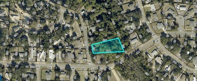 476 acre wooded interior lot zoned R1M . Not in flood Zone so - photo 9