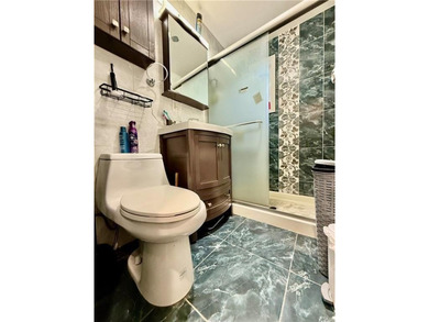 Totally renovated and stunning fully detached Victorian home in - photo 9