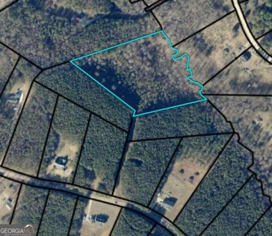 Lake Acreage For Sale in Martin, Georgia