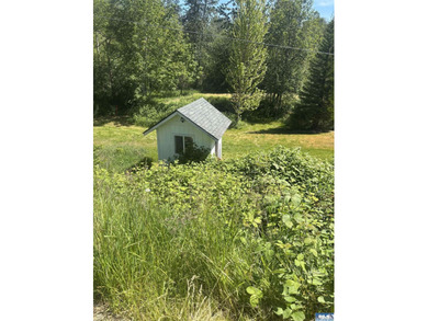 Rare 3.78 acre riverfront compound In the heart of the Olympic - photo 9