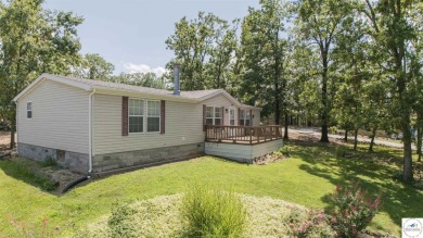 Lake Home For Sale in Warsaw, Missouri