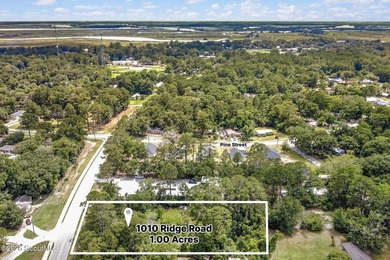Welcome to 1010 Ridge Road, Darien, GA, a rare opportunity to - photo 2