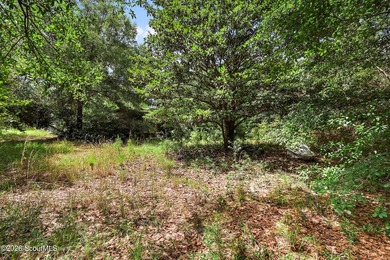 Welcome to 1010 Ridge Road, Darien, GA, a rare opportunity to - photo 4