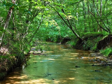 (private lake, pond, creek) Acreage For Sale in Bassett Virginia