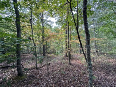 Grayson Lake Acreage For Sale in Grayson Kentucky