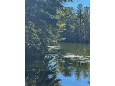Lake Lot For Sale in Elloree, South Carolina