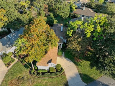 Enter to vaulted ceilings, beautiful bamboo floors in living and - photo 40