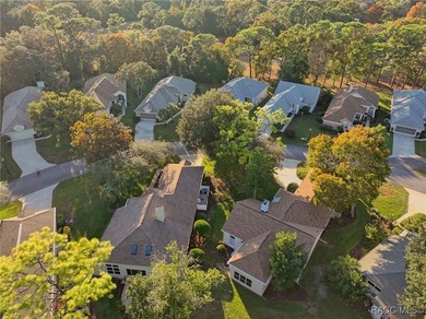 Enter to vaulted ceilings, beautiful bamboo floors in living and - photo 46
