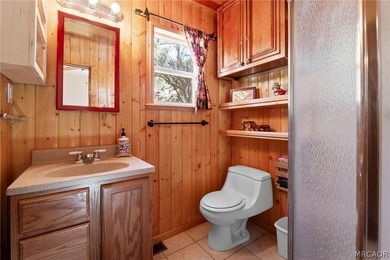 Charming 1920s Big Bear cabin in the desirable Lakeview Tract - photo 8