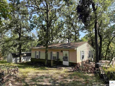 Lake Home For Sale in Warsaw, Missouri