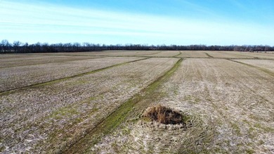 This farm, totaling 606.5 acres, is comprised of four tracts - photo 6