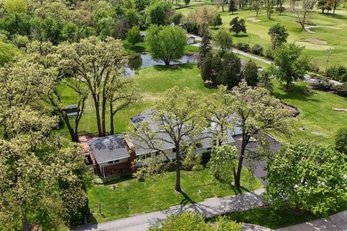 LAKE LIFE - right here in Homewood! Fabulous 1 acre property - photo 6