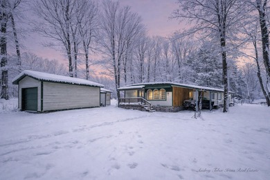 (private lake, pond, creek) Home For Sale in Hesperia Michigan