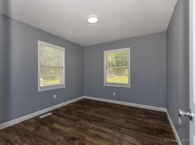 2 bedroom 1 bath brick home with a view of the Spring river - photo 9