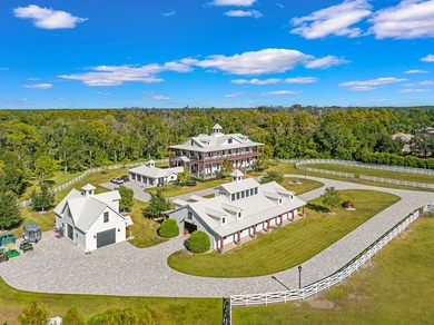 Tucked behind a private gated entrance just north of Tampa and - photo 11