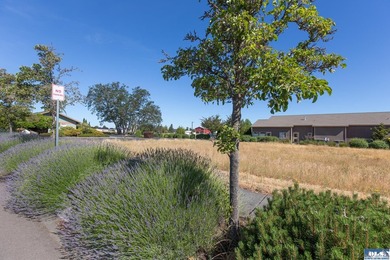 Wonderful Opportunity to be a part of Sequim's Vibrant - photo 2