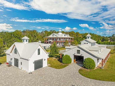 Tucked behind a private gated entrance just north of Tampa and - photo 13