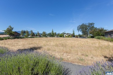 Wonderful Opportunity to be a part of Sequim's Vibrant - photo 3