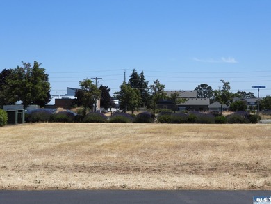 Wonderful Opportunity to be a part of Sequim's Vibrant - photo 4