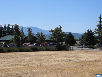 Wonderful Opportunity to be a part of Sequim's Vibrant - photo 5