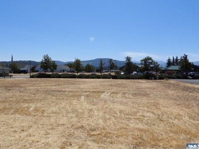 Wonderful Opportunity to be a part of Sequim's Vibrant - photo 6