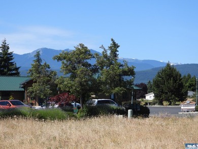 Wonderful Opportunity to be a part of Sequim's Vibrant - photo 10