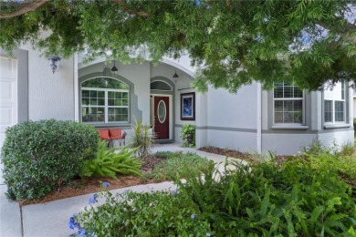 Lake Miona  Home Sale Pending in The Villages Florida