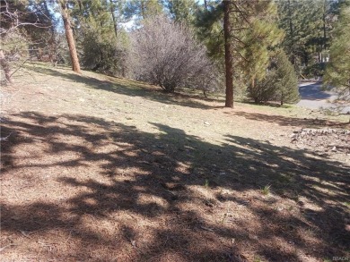 Lake Lot For Sale in Big Bear City, California