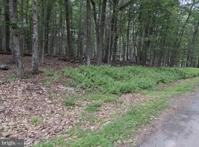 For sale is a surveyed and perc tested beautiful .8 acre lot in - photo 1